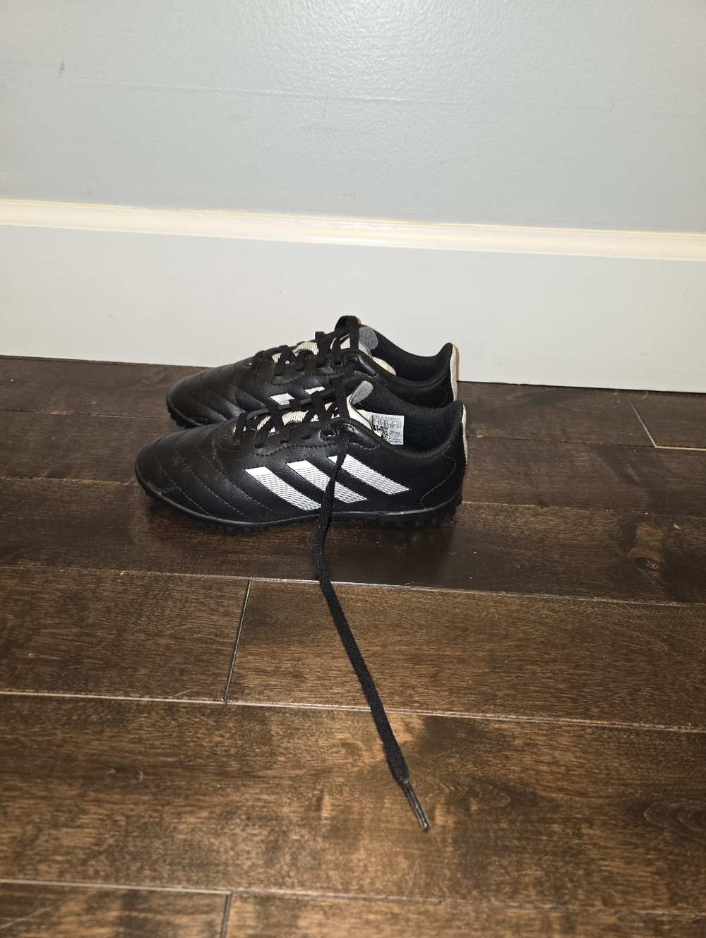 Boys ADIDAS Indoor Soccer Cleats